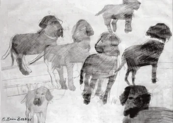 Rex - Skizzen auf dem Gebrauchtwagenplatz